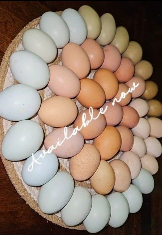 Organic Eggs $7dz.