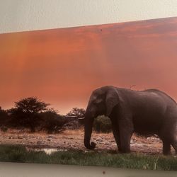 Elephant Wall Art 