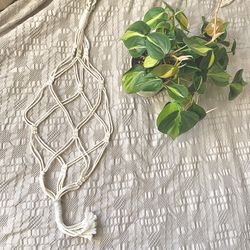 Handmade Macramé Plant Holder