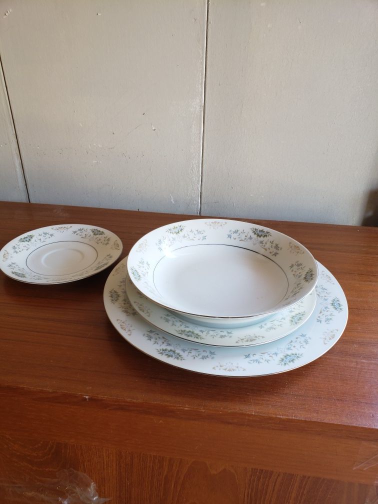 Vintage Dynasty Fine China - Pattern DYN 3