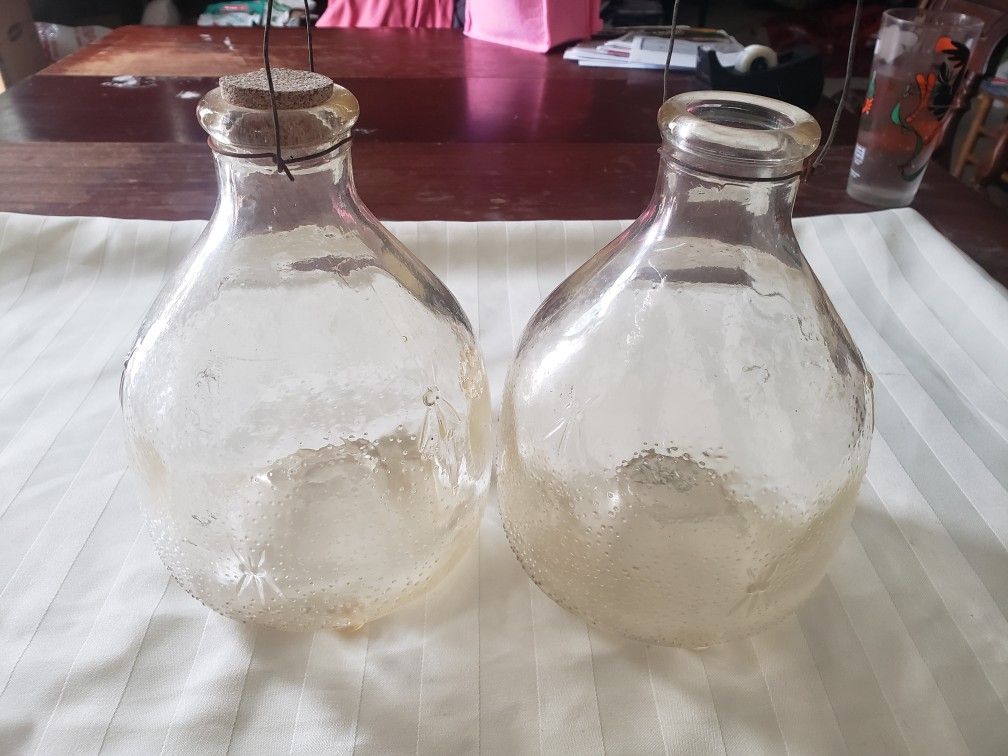 Vintage - 2 Glass Wasp Catchers