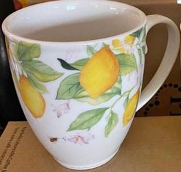 tazas princess house