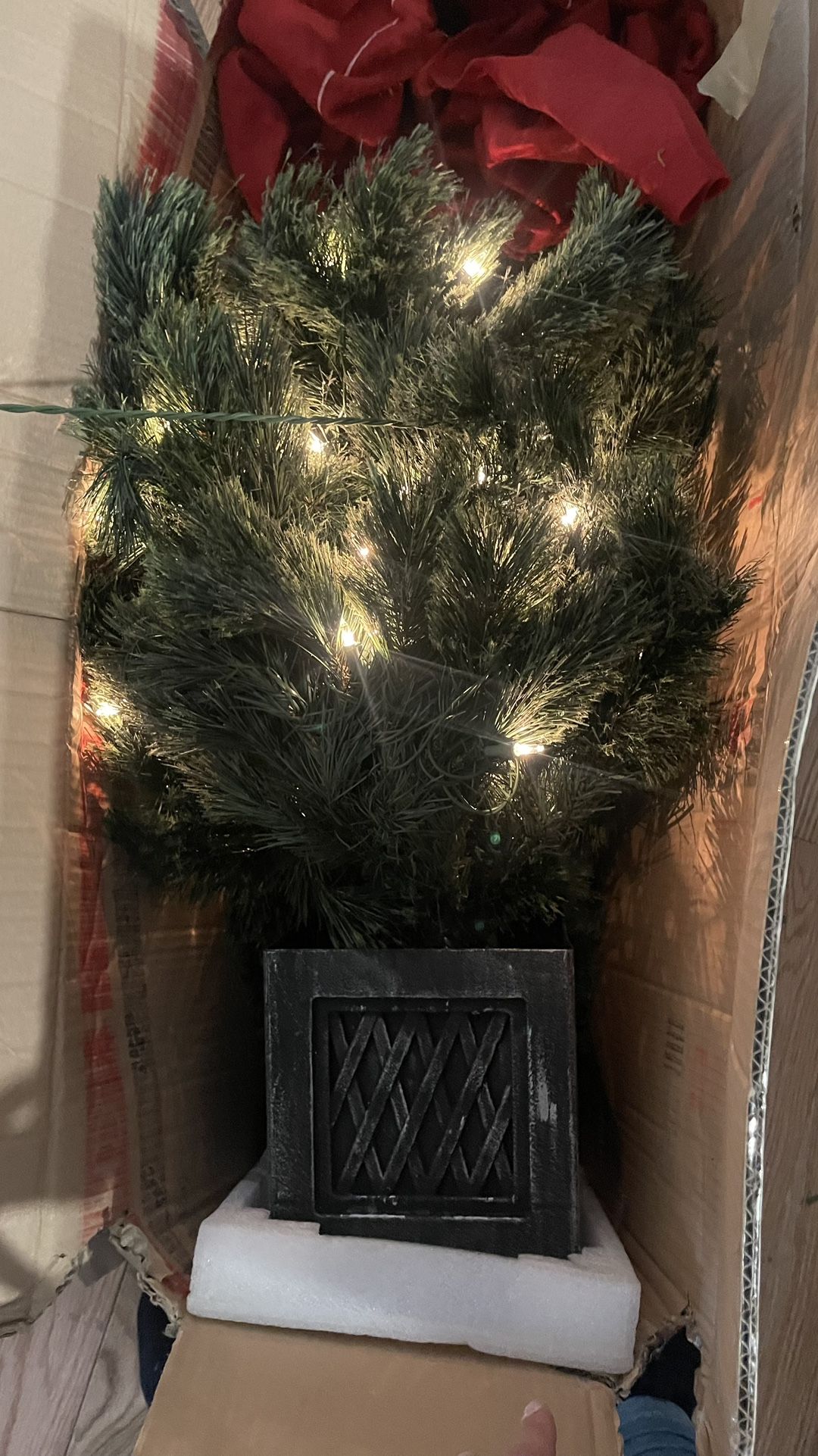 Pino Navideño