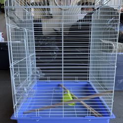 Bird Cage