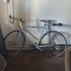 Dawes Lighting Sport 14 Speed