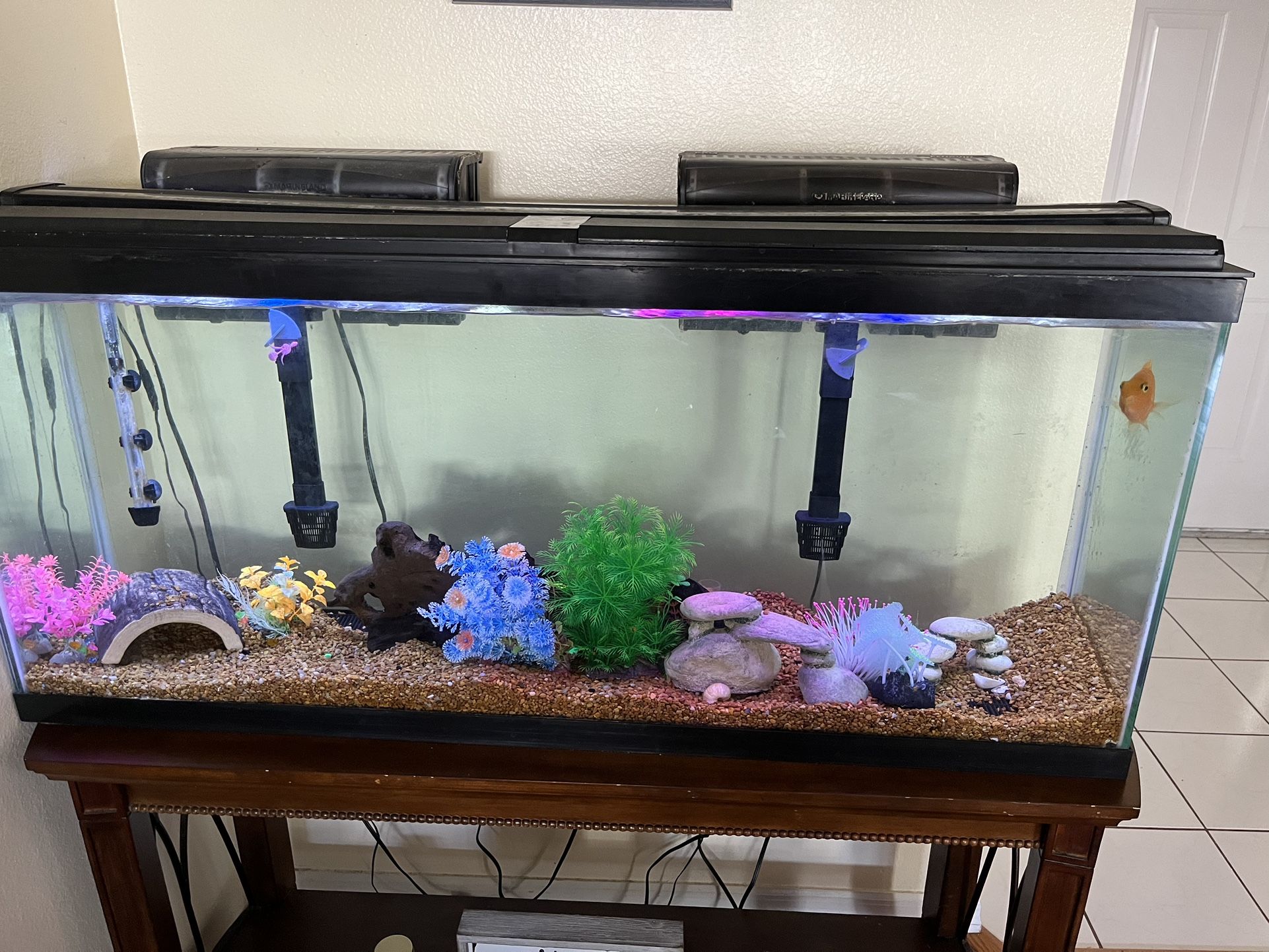 55 Gallons Fresh Water With Fish