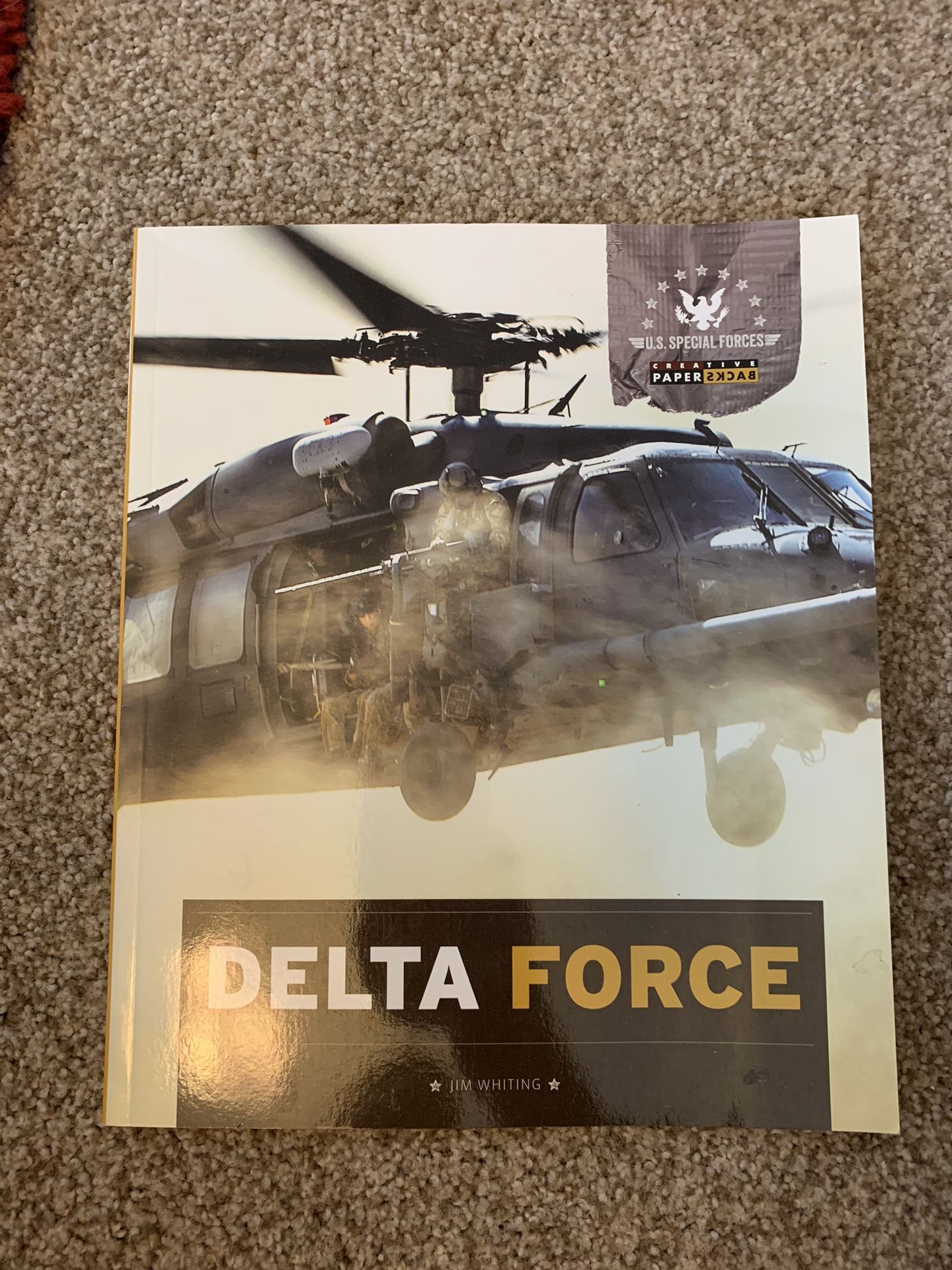 NEW Delta Force book