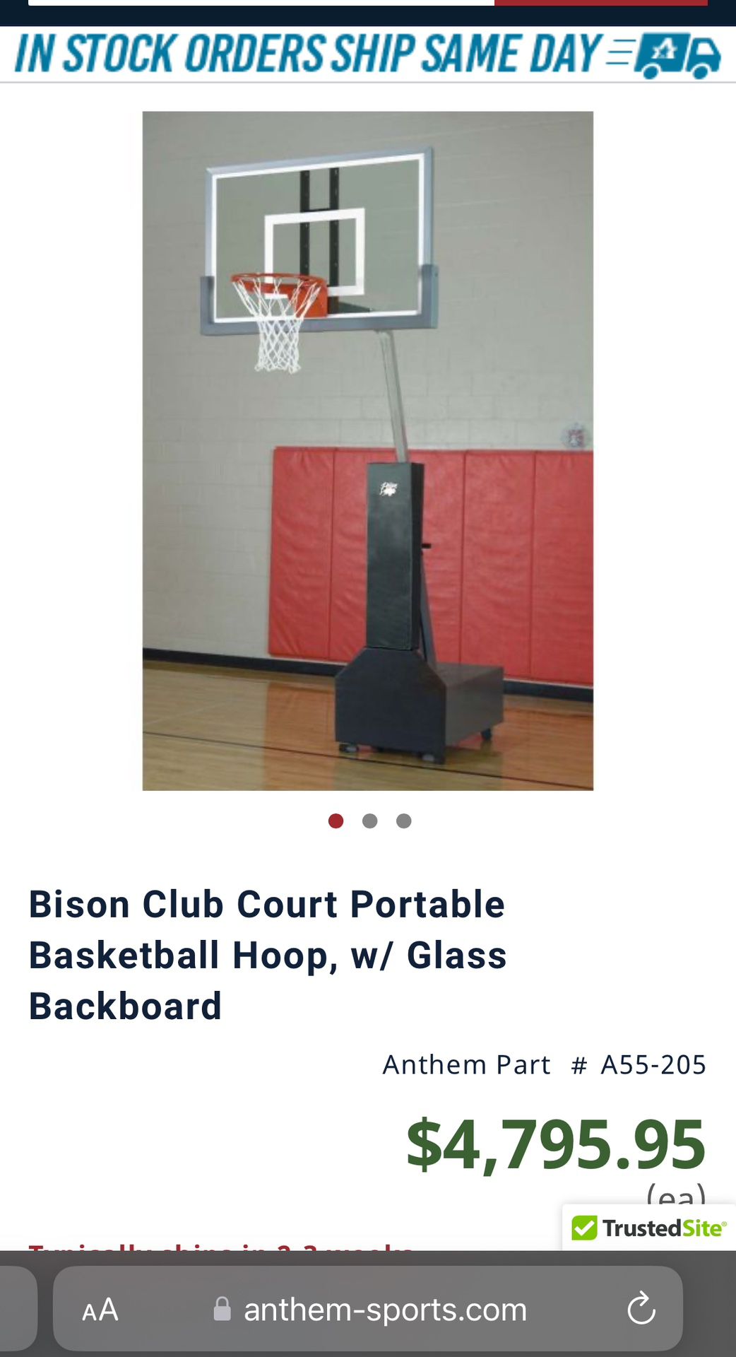 Bison Club Court Portable Basketball Hoop, w/ Glass Backboard