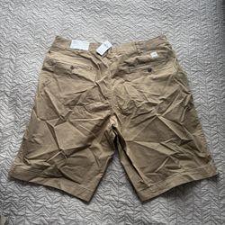 American Eagle Men’s Shorts