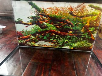 10-Gallon Aquarium Fish Tank with Lid, Light & Complete Accessories Bundle