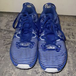 LeBron Class Witness