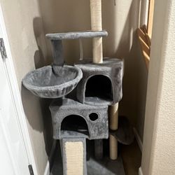Cat House 