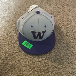 University Of Washington Hat (never Worn)
