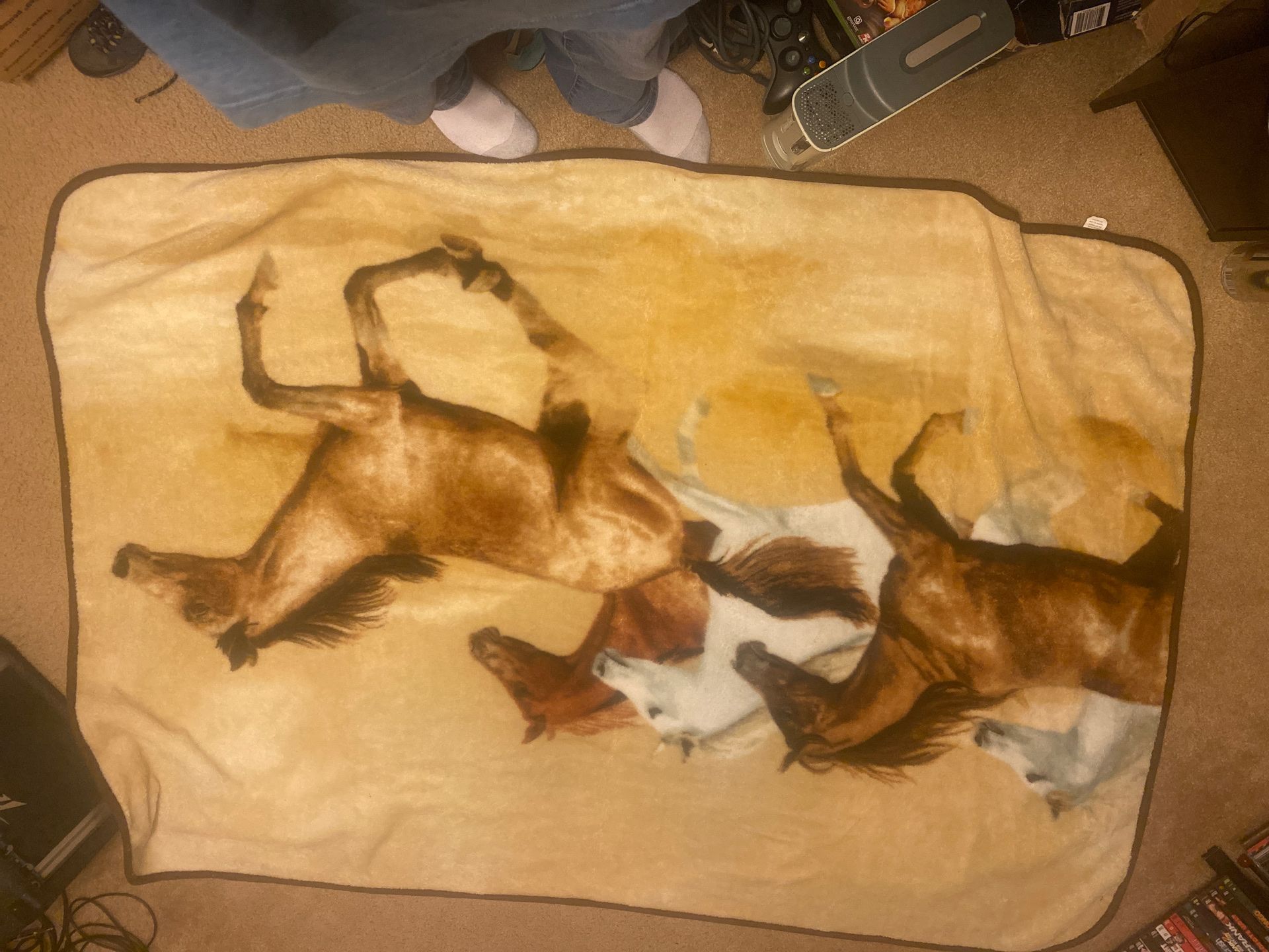 Nice horse blanket