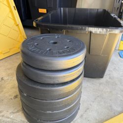 Gym Weights 