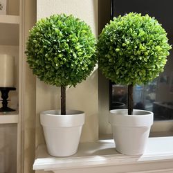 Faux Plants