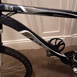 Raleigh talus 3.0 mountain bike 