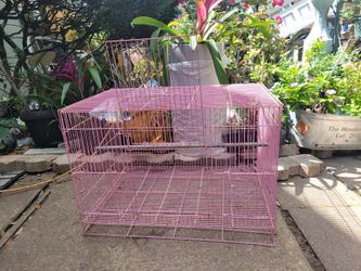 Medium Bird Cage