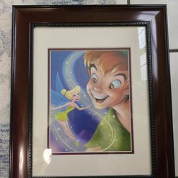Disney  Collectable  Lithography Collection