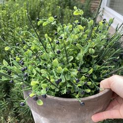 Fake Plant In Clay Pot 