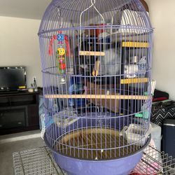 Bird Cage