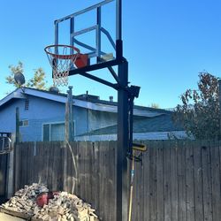 Mammoth Basketball Hoop