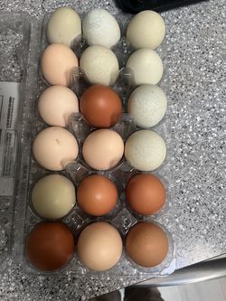 Eggs