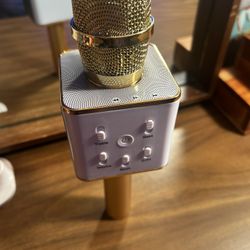 Bluetooth Mic/ Speaker 