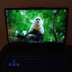 Laptop gamer