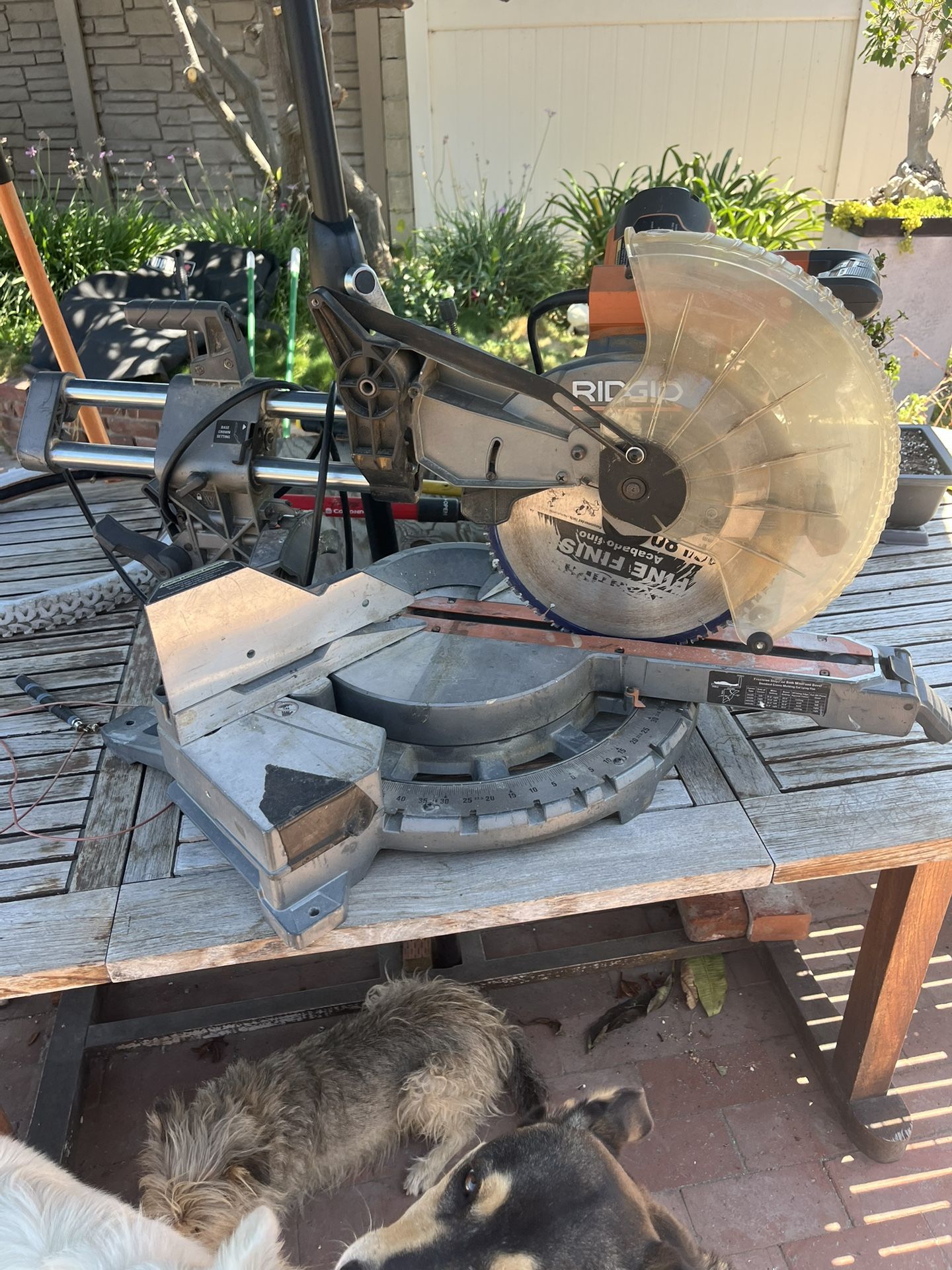 Ridgid Compound Saw