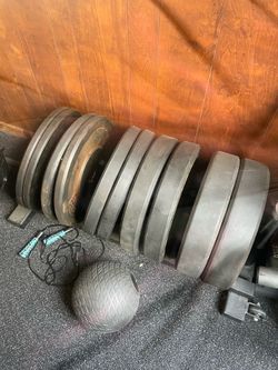 Bumper weights Olympic