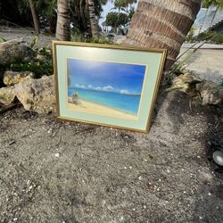 Paintings/pictures In Frames