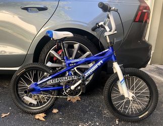 Schwinn Burnout