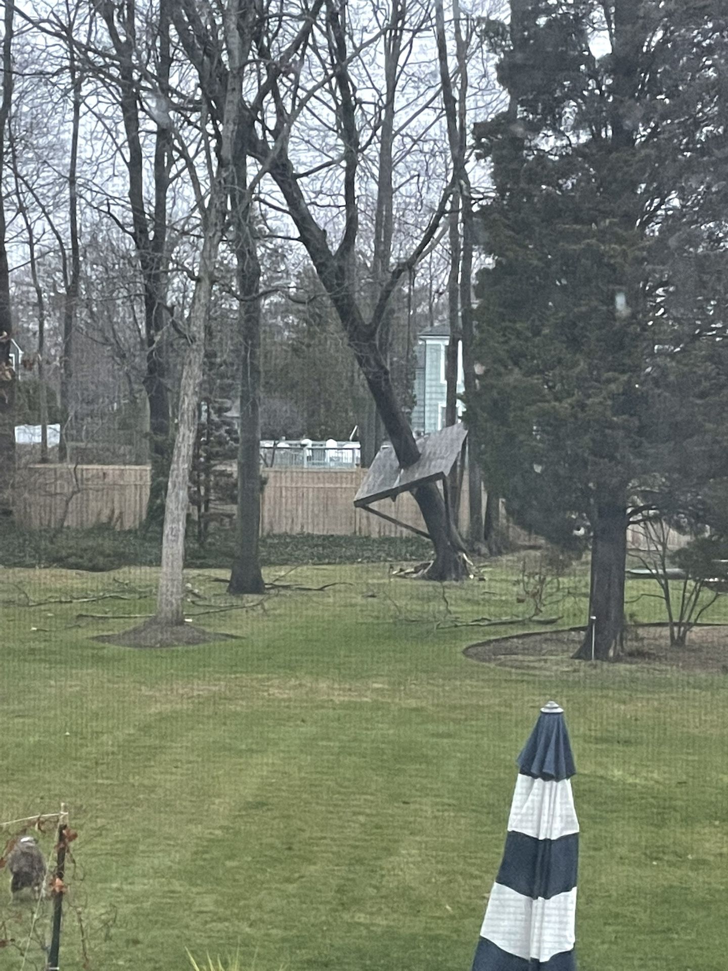 Tree Work