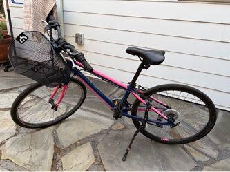 Nishiki Manitoba 24 Bike