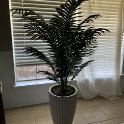 Fake Plant 