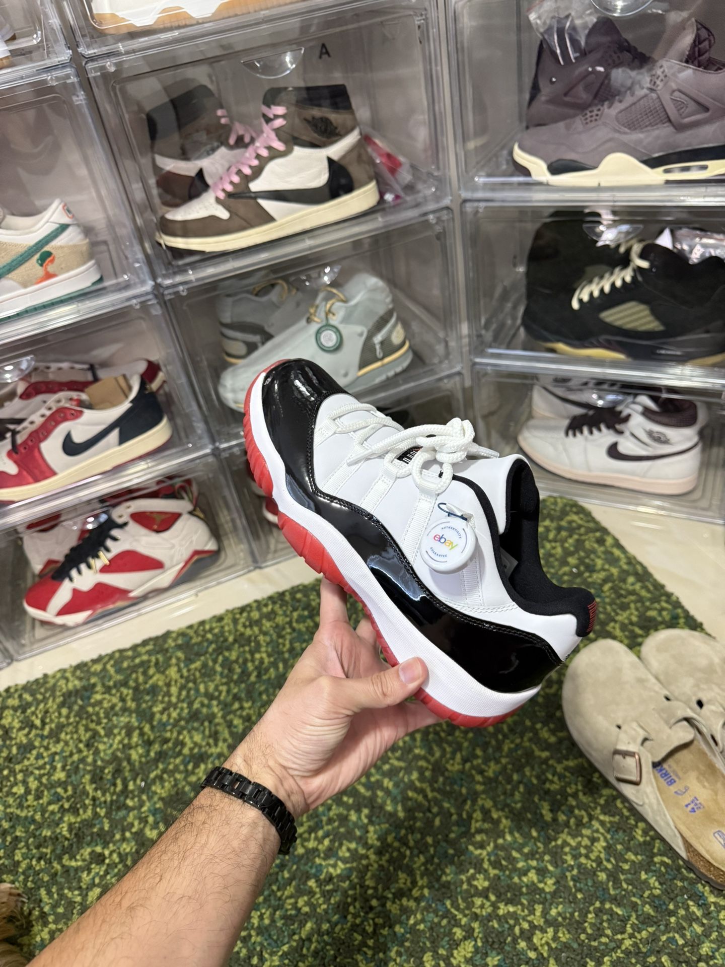 Jordan 11 Low Concord Bred