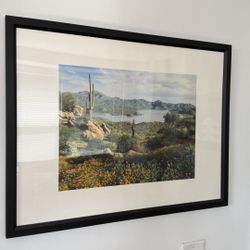Landscape Framed Photo
