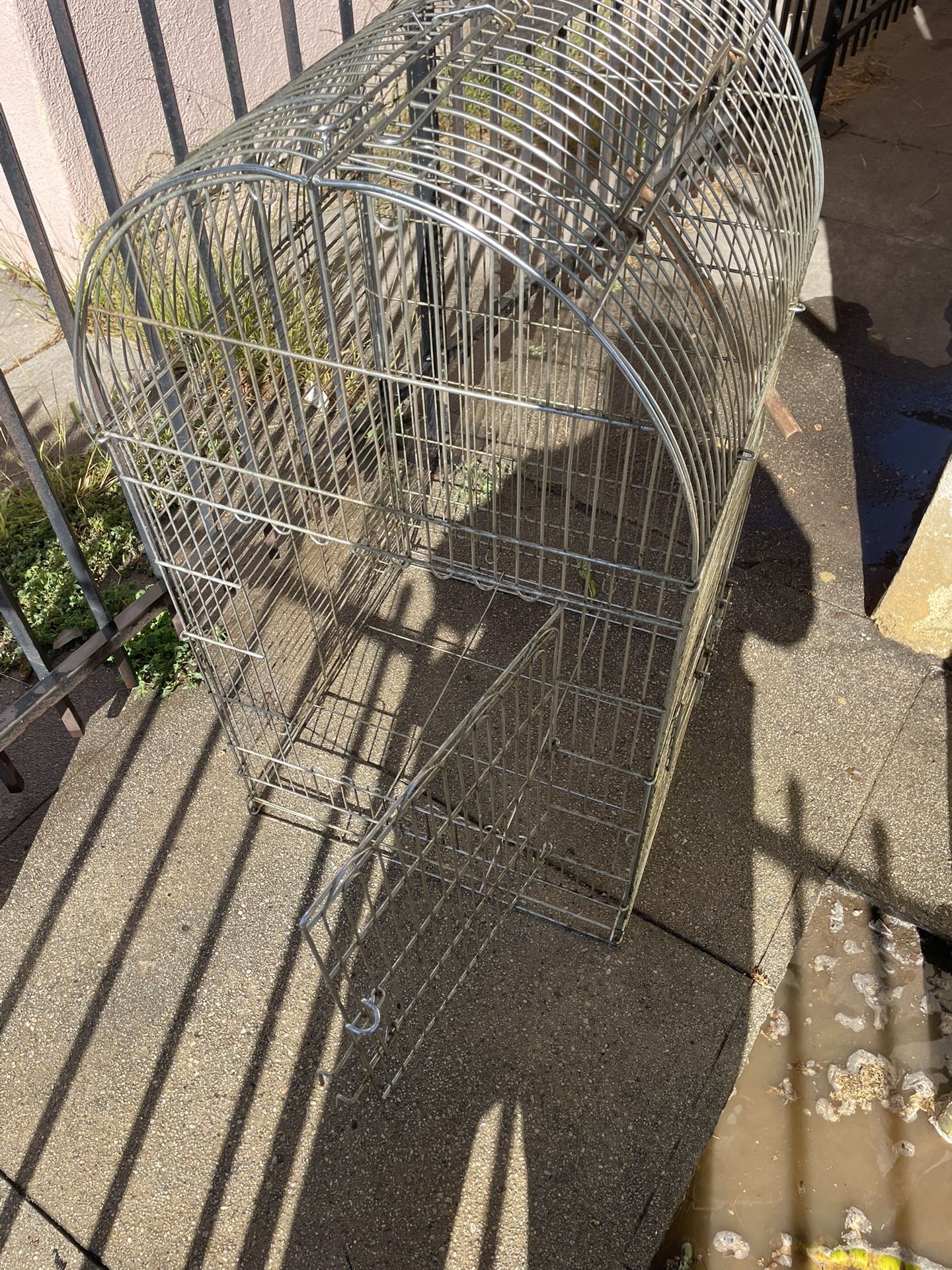 Bird Cage