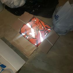 Reflective Vests (5)