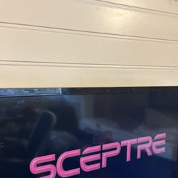 Sceptre Flat Screen TV
