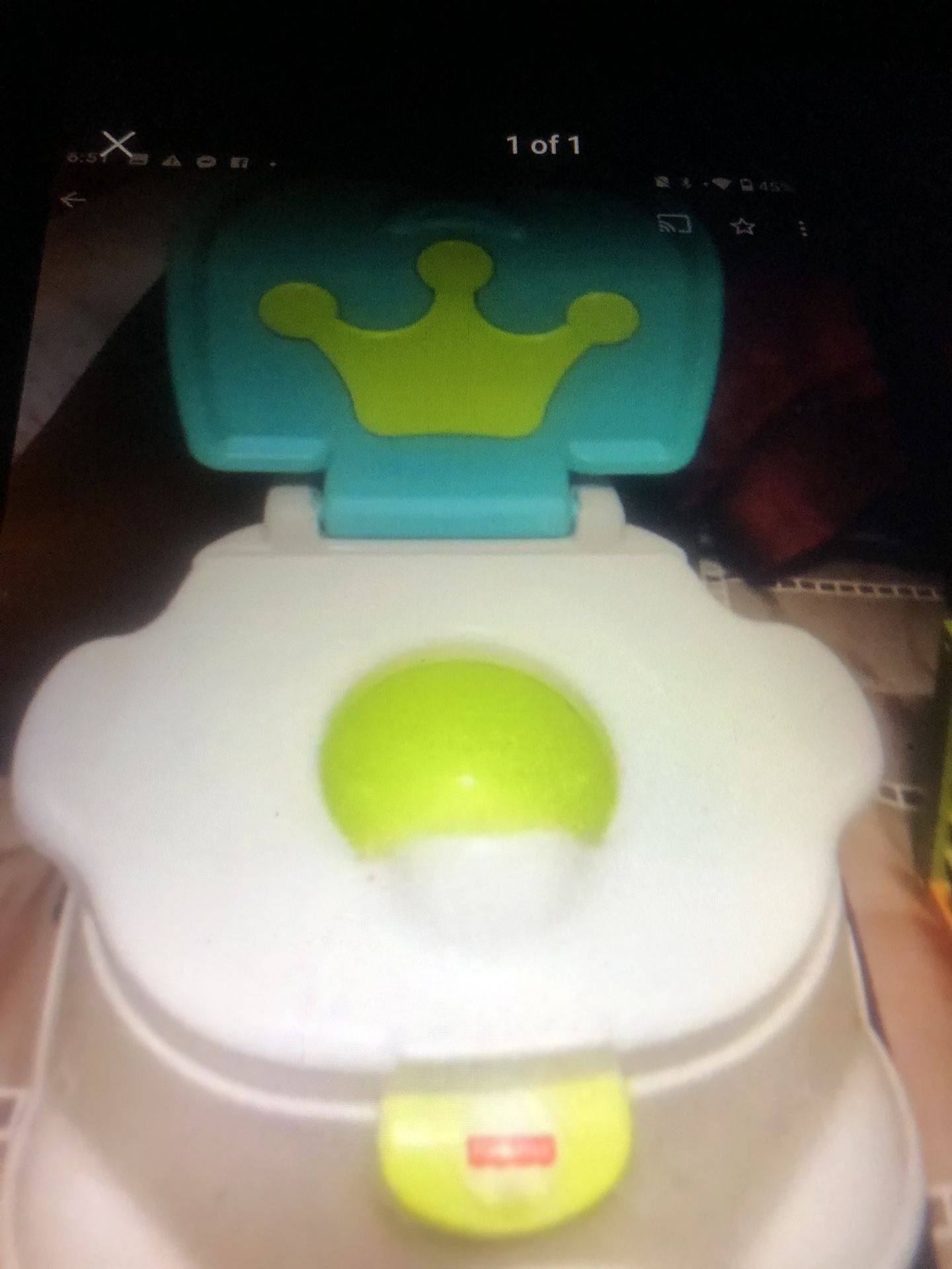 Potty Chair 