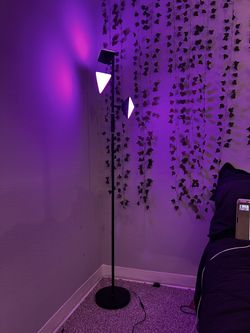 LED Floor Lamp
