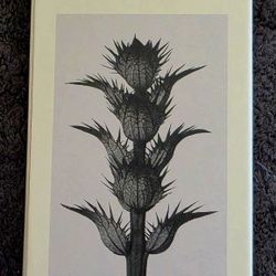 Loewe Man 001 Perfume Spray