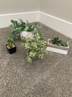 Assorted Artificial Plants