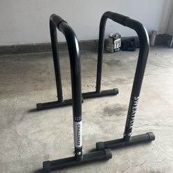 SweatFlix Dip Bars 