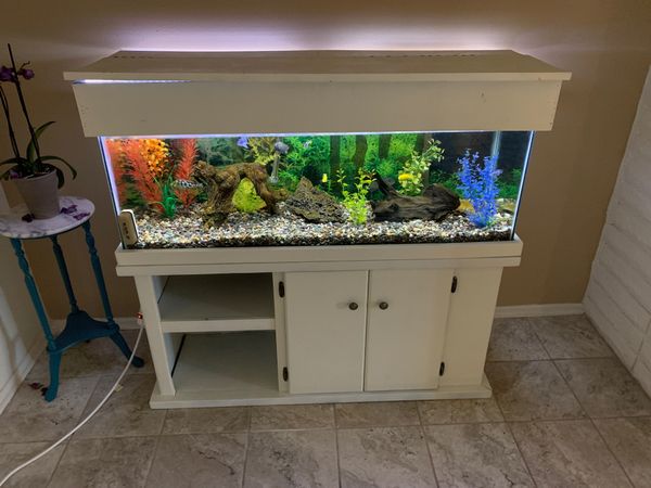 60 gallon fish tank 60 gallon fish tank