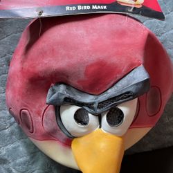 Angry Birds Costume