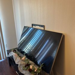 Vizio TV 
