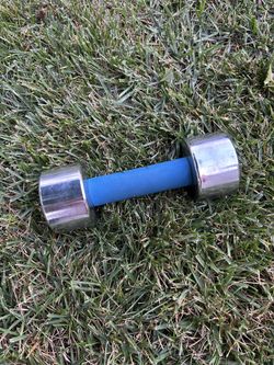 8lb Chrome Dumbbell with blue sponge handle